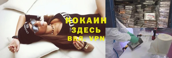 стафф Баксан