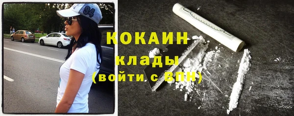 сатива Беломорск