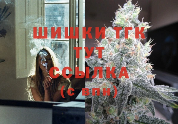 сатива Беломорск