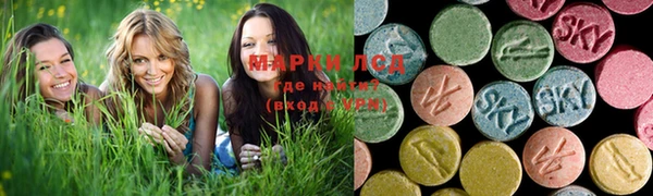 стафф Баксан